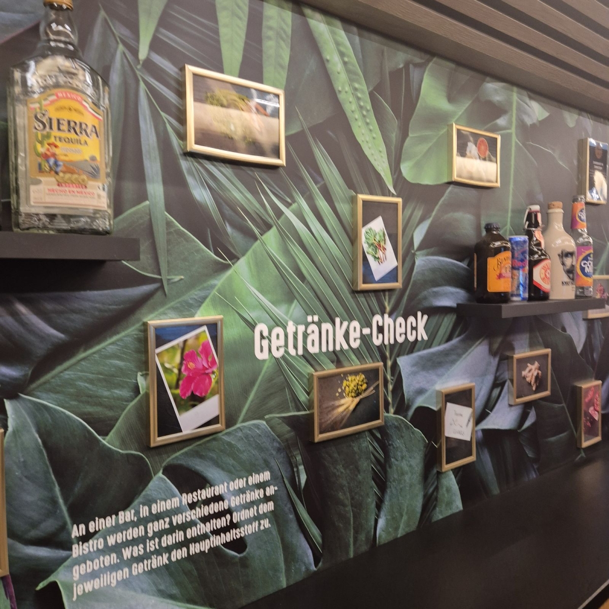 Das GastroMobil an der ABS mit spannenden Informationen.